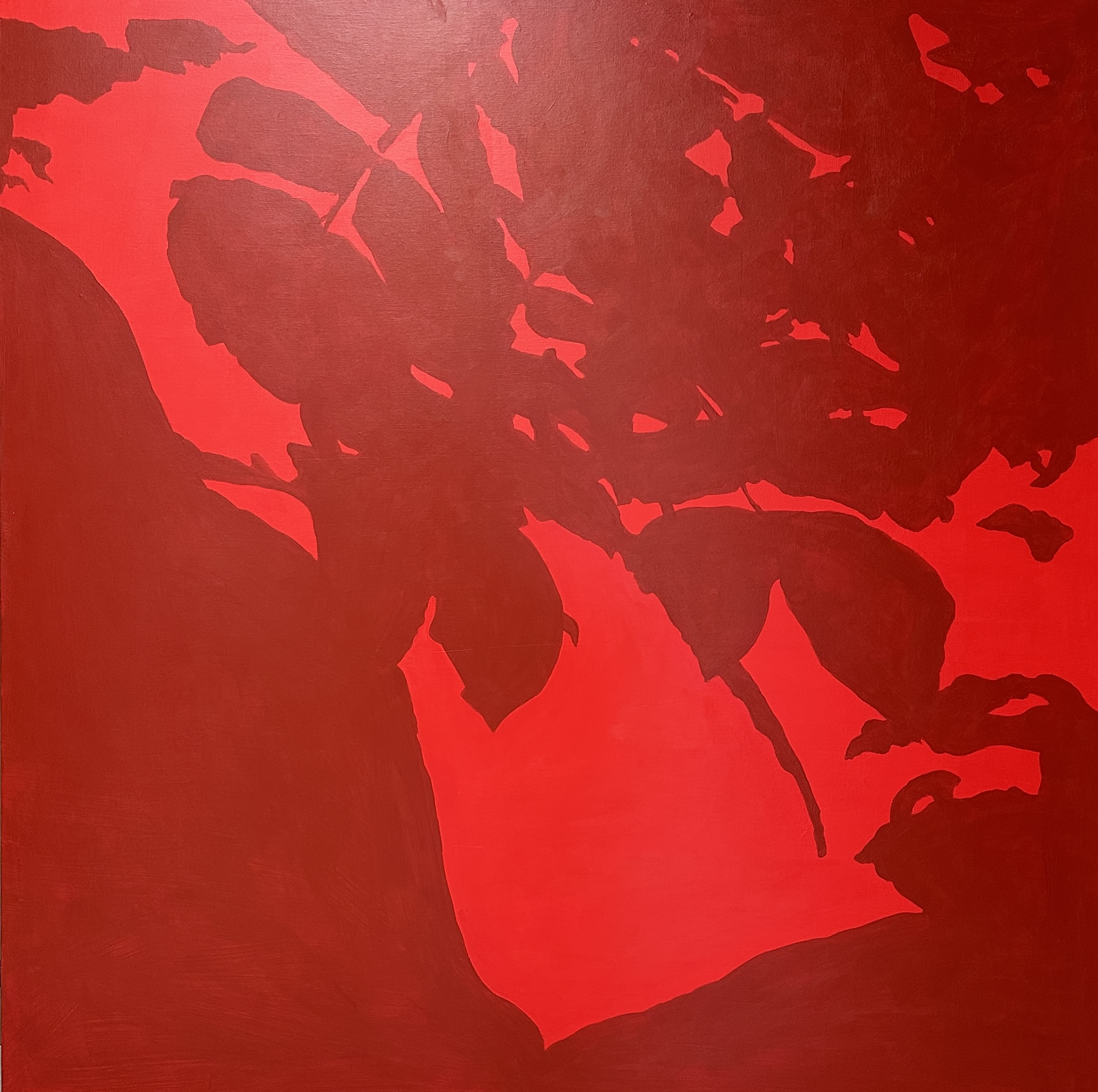 Red Foliage Shadow